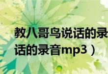 教八哥鸟说话的录音mp3下载（教八哥鸟说话的录音mp3）