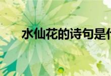 水仙花的诗句是什么（水仙花的诗句）