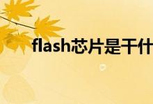 flash芯片是干什么用的（flash芯片）