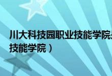 川大科技园职业技能学院是公办还是民办（川大科技园职业技能学院）