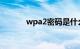 wpa2密码是什么意思（wpa）