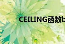 CEILING函数bag（ceiling函数）