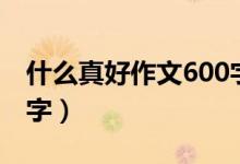 什么真好作文600字左右（什么真好作文600字）