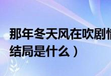 那年冬天风在吹剧情解析（那年冬天风在吹大结局是什么）