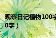 观察日记植物100字仙人掌（观察日记植物100字）