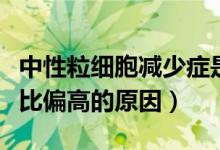 中性粒细胞减少症是什么病（中性粒细胞百分比偏高的原因）