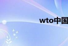 wto中国加入（wto）