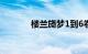 楼兰旖梦1到6卷（楼兰旖梦）