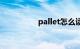 pallet怎么读（pallet）