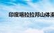 印度喀拉拉邦山体滑坡已致251人死亡