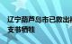 辽宁葫芦岛市已救出被困群众185人，1名村支书牺牲