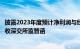 披露2023年度预计净利润与经审计数据差异较大，神思电子收深交所监管函