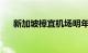 新加坡樟宜机场明年将新建大型航站楼