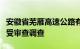 安徽省芜雁高速公路有限公司原监事邵长俊接受审查调查