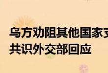 乌方劝阻其他国家支持中国和巴西提出的六点共识外交部回应