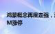 鸿蒙概念再度走强，润和软件 安硕信息20CM涨停