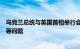 乌克兰总统与英国首相举行会谈，讨论打击俄境内军事设施等问题