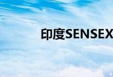 印度SENSEX30指数收跌2.1%