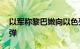 以军称黎巴嫩向以色列北部发射超50枚火箭弹