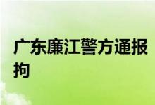 广东廉江警方通报“男子意图抢劫金店”：刑拘