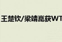 王楚钦/梁靖崑获WTT中国大满贯赛男双冠军