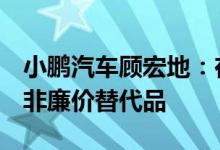 小鹏汽车顾宏地：在欧洲卖车旨在技术输出，非廉价替代品