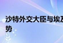 沙特外交大臣与埃及外长通电话，讨论黎以局势