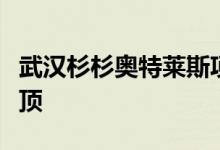 武汉杉杉奥特莱斯项目预计明年春节前全面封顶