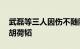 武磊等三人因伤不随队赴澳，国足补招程进 胡荷韬