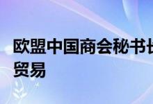 欧盟中国商会秘书长称加征关税或将影响中欧贸易