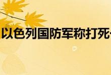 以色列国防军称打死一名黎巴嫩真主党指挥官