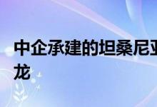 中企承建的坦桑尼亚马古富力大桥主桥成功合龙