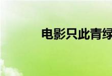 电影只此青绿总票房破3000万