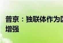 普京：独联体作为区域一体化组织的权威不断增强