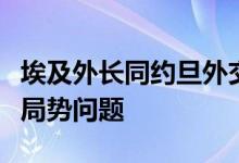 埃及外长同约旦外交大臣举行会谈，讨论中东局势问题