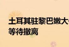 土耳其驻黎巴嫩大使：2500人在贝鲁特港口等待撤离