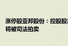 涨停股亚邦股份：控股股东及相关方所持1.94亿股公司股份将被司法拍卖