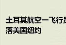 土耳其航空一飞行员执飞中死亡，飞机紧急降落美国纽约