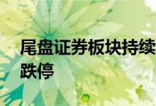 尾盘证券板块持续走弱，国金证券等近10股跌停