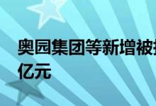 奥园集团等新增被执行人信息，执行标的3.4亿元