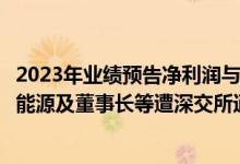 2023年业绩预告净利润与经审计净利润存在较大差异，华西能源及董事长等遭深交所通报批评