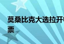 莫桑比克大选拉开帷幕，约1700万人登记投票