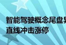 智能驾驶概念尾盘异动，大众交通打开跌停后直线冲击涨停