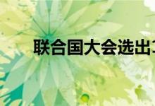 联合国大会选出18个人权理事会成员