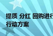 提质 分红 回购进行时，近半数沪市公司推出行动方案