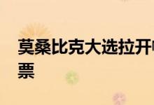 莫桑比克大选拉开帷幕，约1700万人登记投票