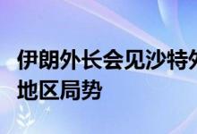 伊朗外长会见沙特外交大臣，讨论双边关系与地区局势