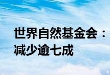 世界自然基金会：全球野生动物数量50年间减少逾七成