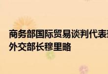 商务部国际贸易谈判代表兼副部长王受文在京会见哥伦比亚外交部长穆里略