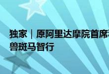 独家｜原阿里达摩院首席科学家司罗正式加入汽车科技独角兽斑马智行